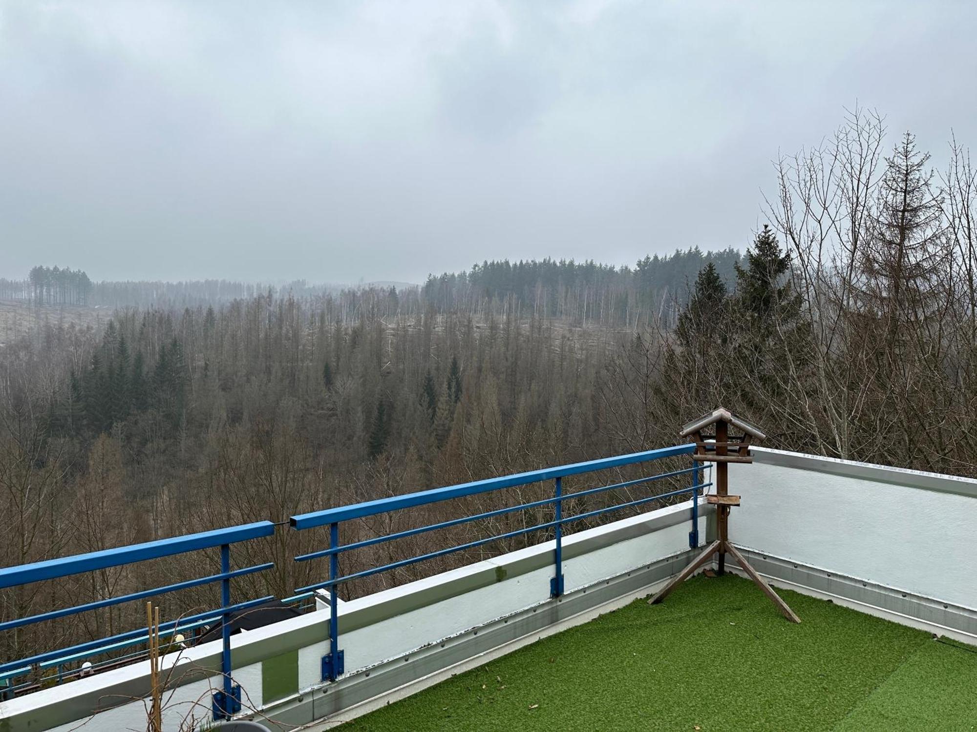 Ferienwohnung Harz #4, Pool, Sauna, Wlan Braunlage Kültér fotó